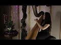 Tchaikovsky - Dance of the Sugar Plum Fairy  // Amy Turk, Harp