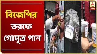 রায়গঞ্জের গোশালায় করোনা রোধে বিজেপির তরফে গোমূত্র পান