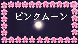 【満月】今日は、ピンクムーン🌕だよ♪😊