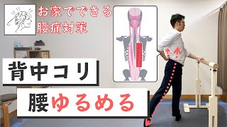 【背中こり、腰をゆるめる】筋膜リリースストレッチ｜お家でできる腰痛対策