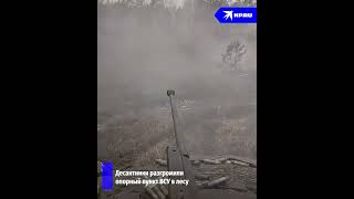 Российские десантники захватили и уничтожили опорный пункт ВСУ в лесу