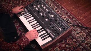 Klangteppich [music] - Moog Prodigy and Roland Space Echo