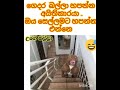 මාව subscribe කරන්න අමතක කරන්න එපා