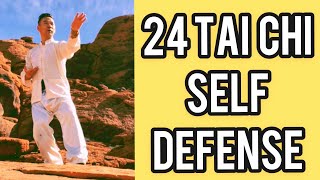 24 yang style tai chi / self defense lesson 3 / repulse monkey 倒卷肱太极第三课