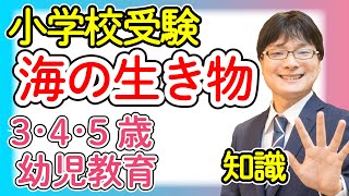 【小学校受験2-32】海の生き物 知識 レベル2【幼児教育演習問題】