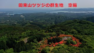 田束山ツツジの群生地　空撮