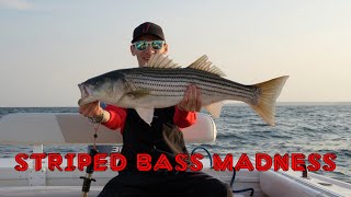 Striped Bass MADNESS on Topwater | Cape Cod Fishing