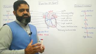 Function of Heart Urdu /Hindi medium @prof.masoodfuzail#physiologyofheart #heart#human humanheart