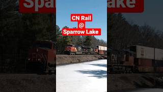 #shorts #cntrain @Sparrow Lake #short #trains #railfan #railroad