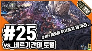 『익곰』 겜잘스 인정? 4시간만에 태도로 성공!!  / #25_vs네르기간테 토벌- MHW