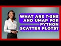 What Are t-SNE And UMAP For Python Scatter Plots? - Python Code School