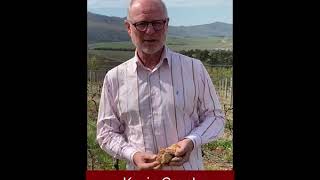 2020 CWG Auction Wines - Ataraxia Under The Gavel Chardonnay 2019