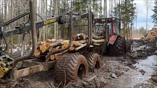 Last m3 in wet forest,logging with MTZ 952.3..(HD)