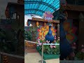 Splash mania #malaysia #youtubeshorts #splashmania #shorts #ian #eva #fyp #waterthemepark #sepang