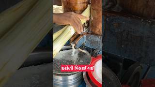 ગરોળી પિલાઇ ગઈ 😱😱 #gujarati #gujarativlogs #vlogs  #facts #reels  #viralvideos