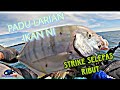 IKAN aktif selepas ribut/ LABUAN KAYAK FISHING/ KAYAK FISHING MALAYSIA