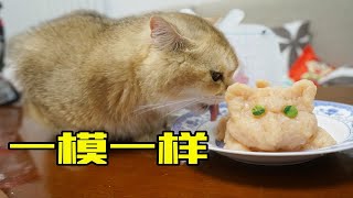 猫咪9岁生日，做一个与它一模一样的蛋糕！