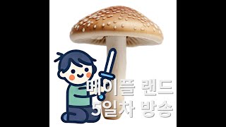 메랜 5일차 방송