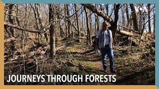 Journeys through Forests | VOA Connect