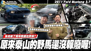 【愛車大改造】這兩年到底在弄什麼？我記憶都模糊了.../ 2011 Ford Mustang 3.7