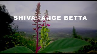 Shivagange Hill - Shivgange Betta | Dabaspete | Trekking - Hiking  | Road Trip from Bangalore [4K]