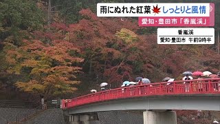 雨に濡れて異なる趣に…紅葉の名所・愛知の「香嵐渓」約4千本のモミジなどが見頃迎える 11月末頃まで (2022/11/23 12:44)