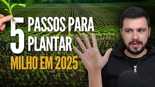 5 PASSOS para plantar milho em 2025