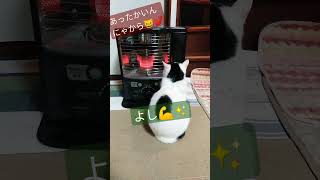 あったかいんにゃから♫