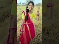 banhu banihar gori tor khet ke cgnewsong cgsong