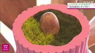 こけを使った芸術作品のギャラリー開設　苔アート作家　山縣健志