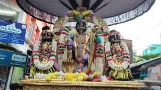 Thai Poosam - Sri Parthasarathy Swamy Kalinganardhanam Thirukolam - Kadhir Alankara Utsavam