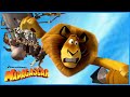 Dubois Hunts the King of the Beasts | DreamWorks Madagascar