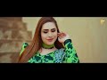 wafa nai labdi sarda shareek zakir ali sheikh x pari paro new year gift punjabi saraiki song