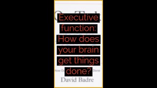❓ Executive function: How does your brain get things done?❓