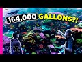 Visiting the Georgia Aquarium, One of the Largest Reef Tanks in the World | BEHIND THE SCENES TOUR!