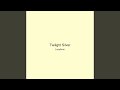 Twilight Silver