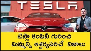 Top Facts About Tesla in Telugu | Interesting Facts About Telsa \u0026 Elon Musk | Minute Stuff