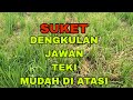 OBAT RUMPUT-DENGKULAN-JAWAN-TEKI