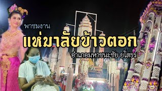 EP.41 ไปชมงานประเพณีแห่มาลัยข้าวตอก ยโสธร