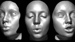 Digital Emily Project - High Resolution Facial Scans
