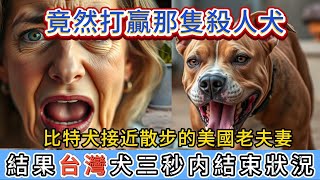 比特犬接近散步的美國老夫妻，結果台灣犬3秒內結束狀況！