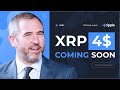 Brad Garlinghouse: RIPPLE BULL RUN CONFIRMED! XRP PRICE PREDICTION