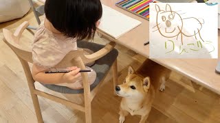 A letter written by a girl who loves Shiba Inu