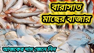 Barasat fish market in july 2024 ll wholesale fish market in barasat। fish market in Kolkata