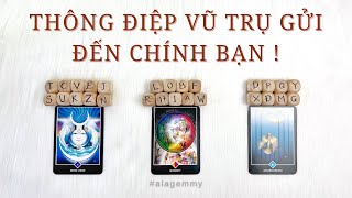 THÔNG ĐIỆP VŨ TRỤ GỬI ĐẾN CHÍNH BẠN NGAY LÚC NÀY🪐💫⚡️✨🌈Tarot🌞🌝🌻