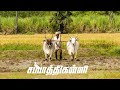 எங்க காத்து மீன்சுட்ட வாசம் அடிக்கும்..... 🐃whatsapp status... 😎