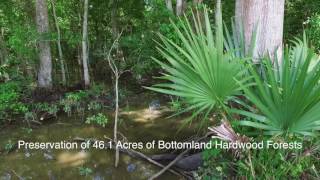 Bayou Maringouin - Wetland Mitigation Bank