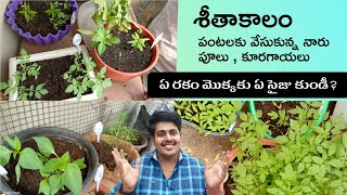 All set for Winter Crops||శీతాకాలం పంట కోసం సిద్ధం చేసుకున్న నారు + ఏ మొక్కకి ఏ సైజ్ కుండీ? + టిప్స్