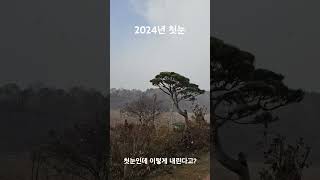 2024년 첫눈