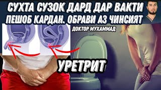 УРЕТРИТ. Табобати  сухта, сузок, дард, норохати ва табобати обрави аз узви чинсии занхо ва мардхо